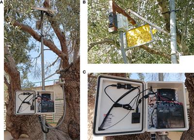 Remote fruit fly detection using computer vision and machine learning-based electronic trap